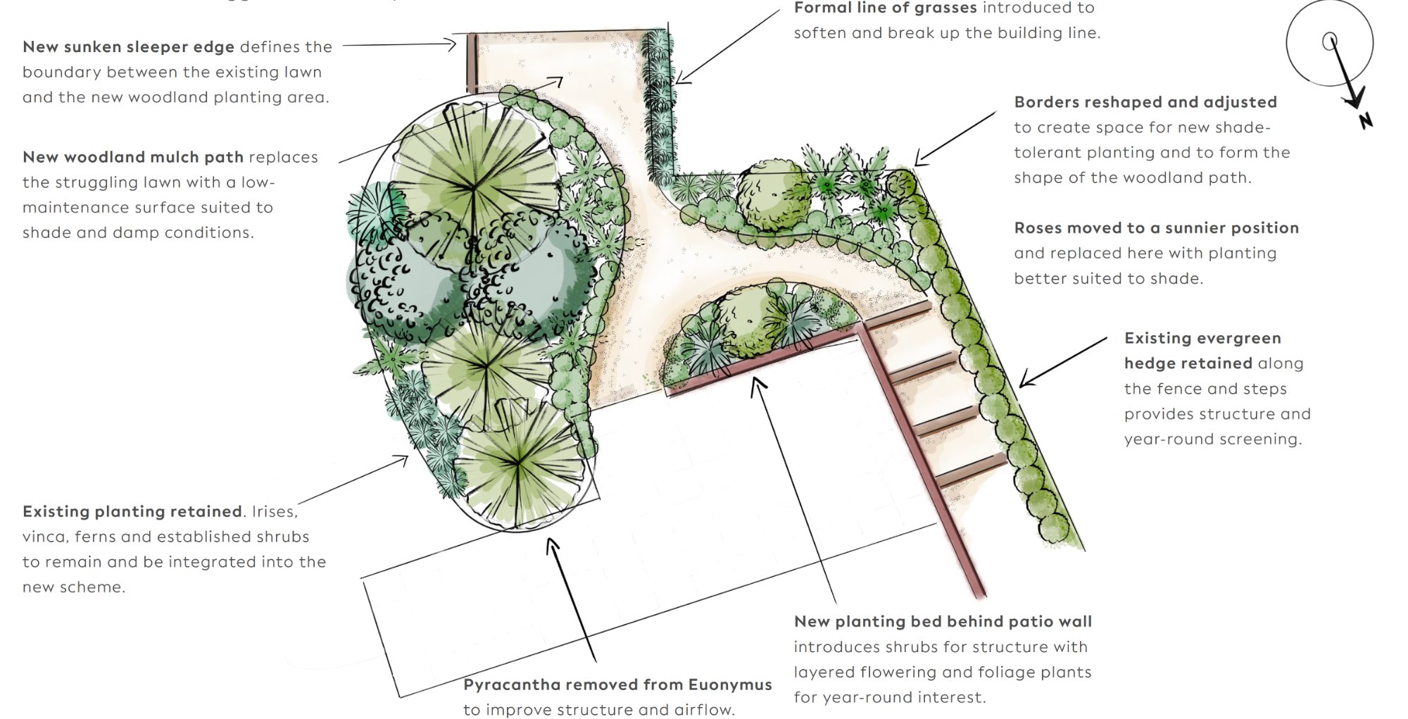 Garden design illustration showing planting plan and landscape elements