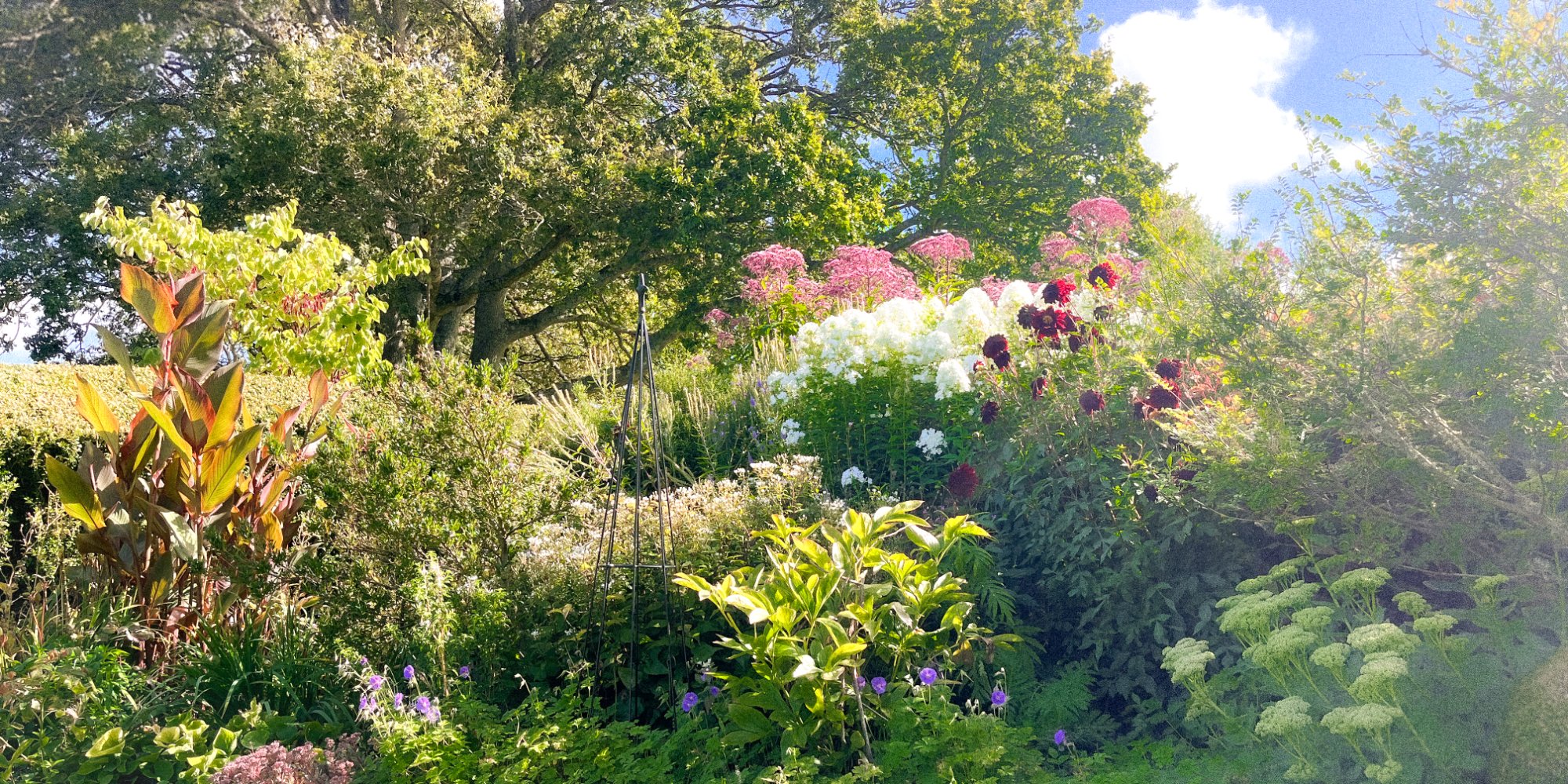Garden project 3