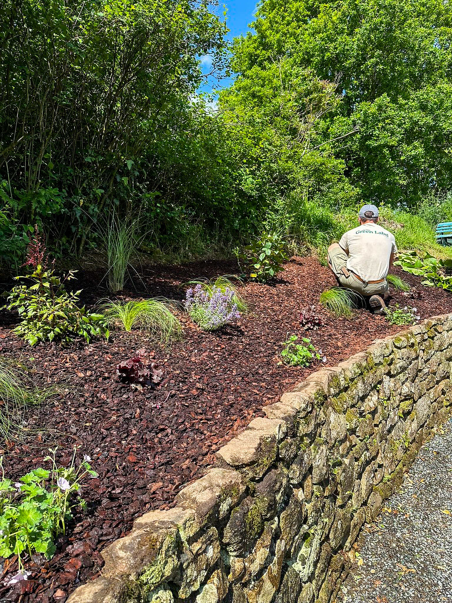 Garden project 4