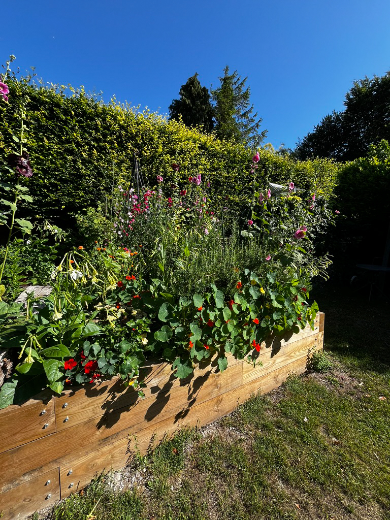 Garden project 5