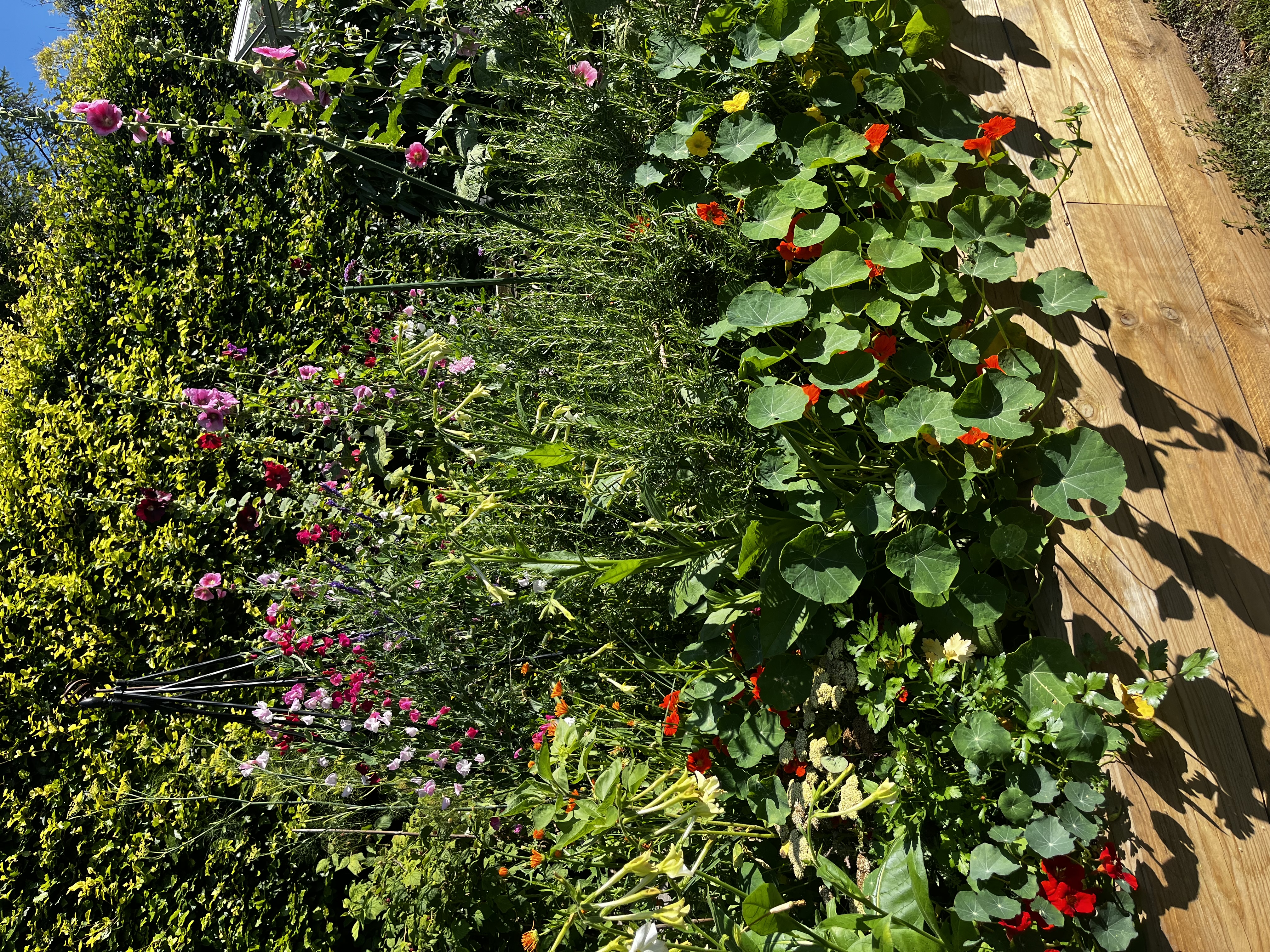 Garden project