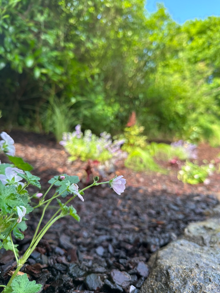 Garden project