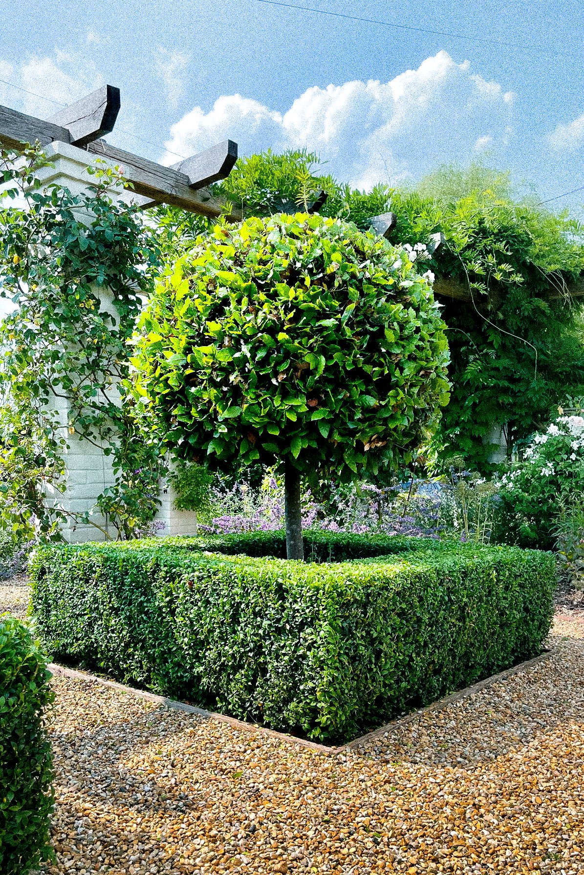 Beautiful garden maintenance work